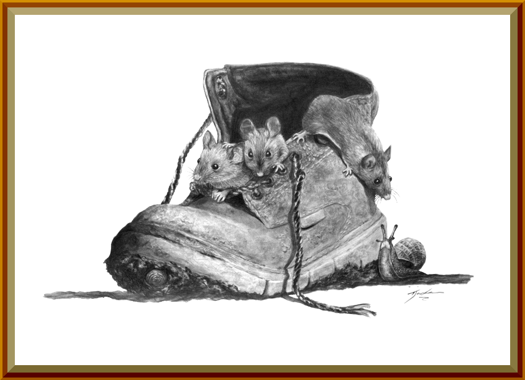 What nicer house for a mouse?! 